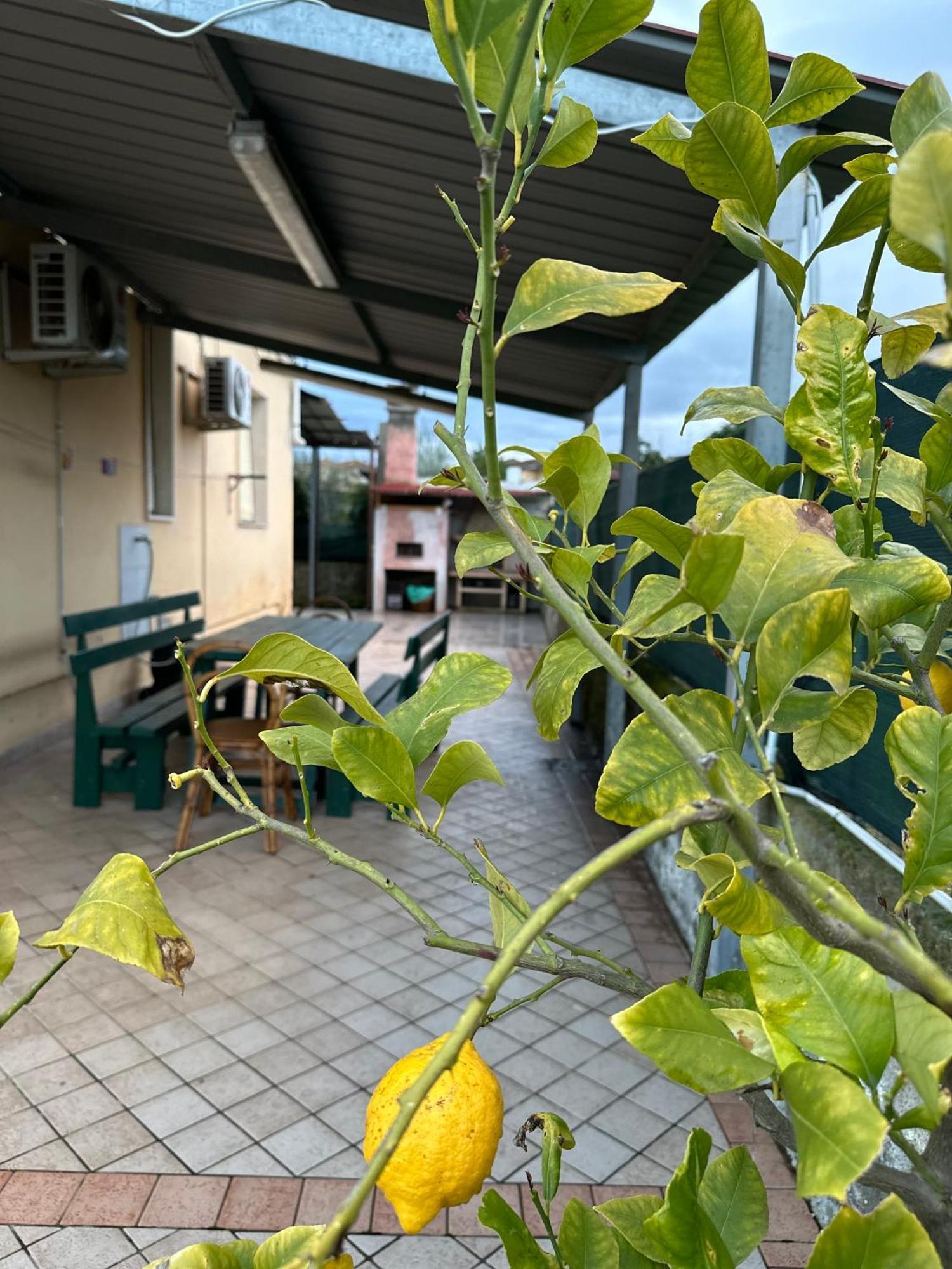 Peace & Relax Holiday Home Lazzeretto 외부 사진